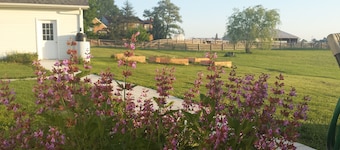 Welcome to the daughter of the stars