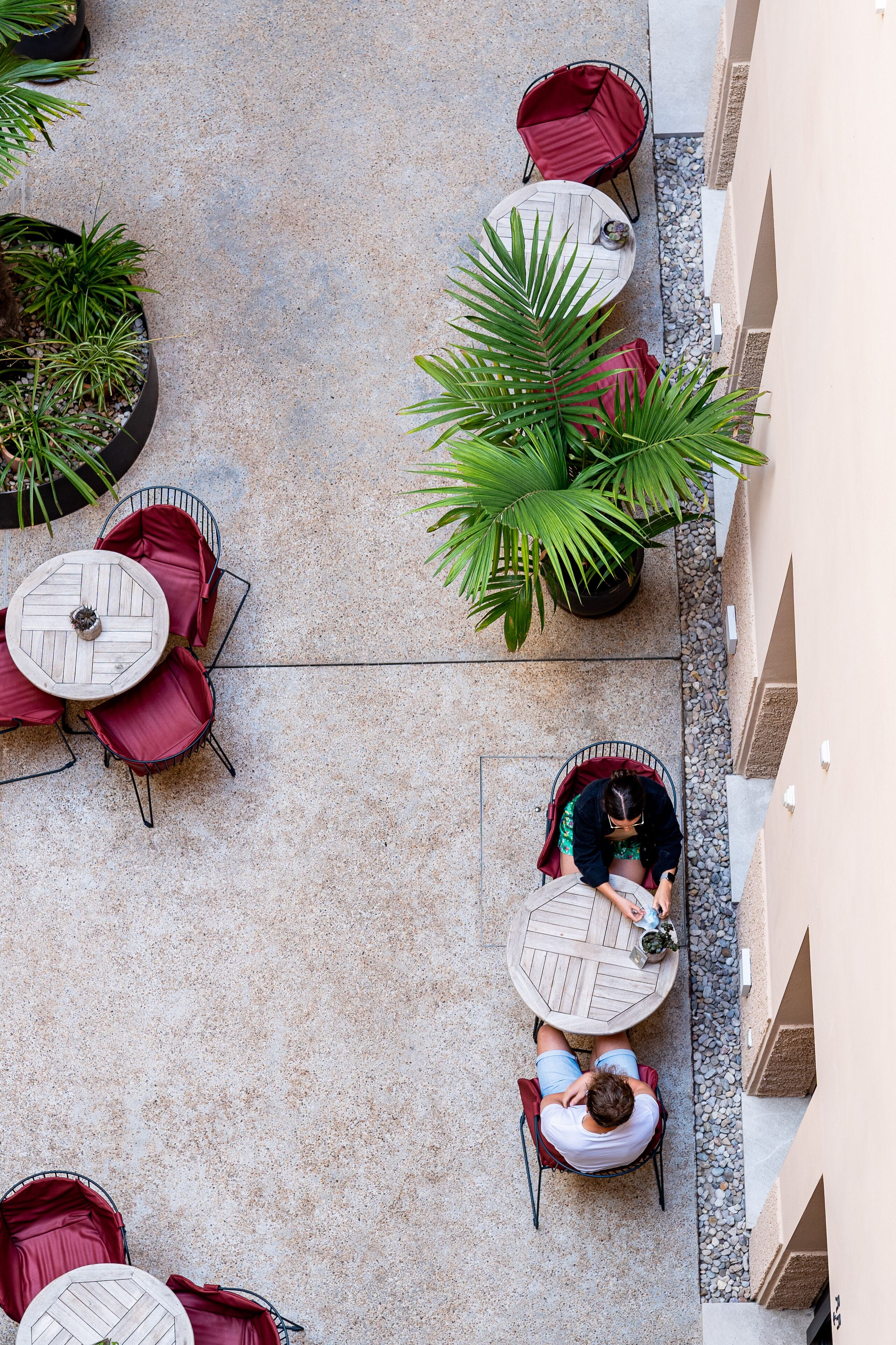 Un patio al aire libre con mesas y sillas redondas, rodeado de plantas en macetas.