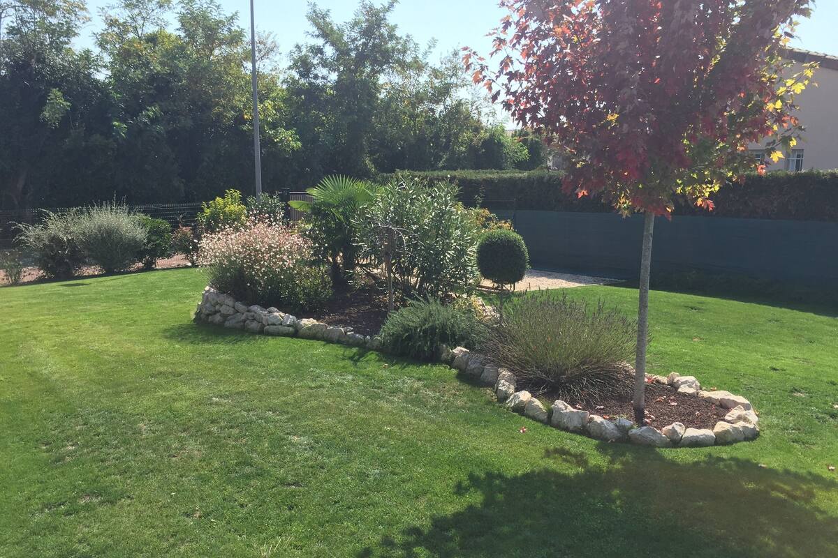 A well-maintained garden with various shrubs and a lawn.