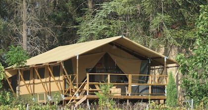 Domaine du Siestou Wine Resort Lodges