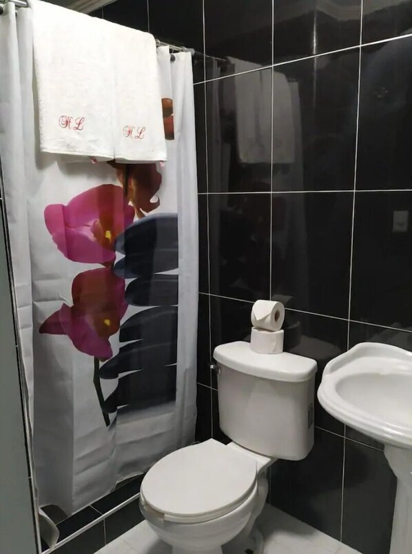 Hair dryer, towels, soap, shampoo