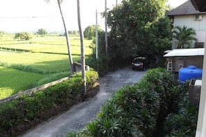 Guests can enjoy a serene rural setting with a pathway leading to a building surrounded by lush greenery and expansive fields.
