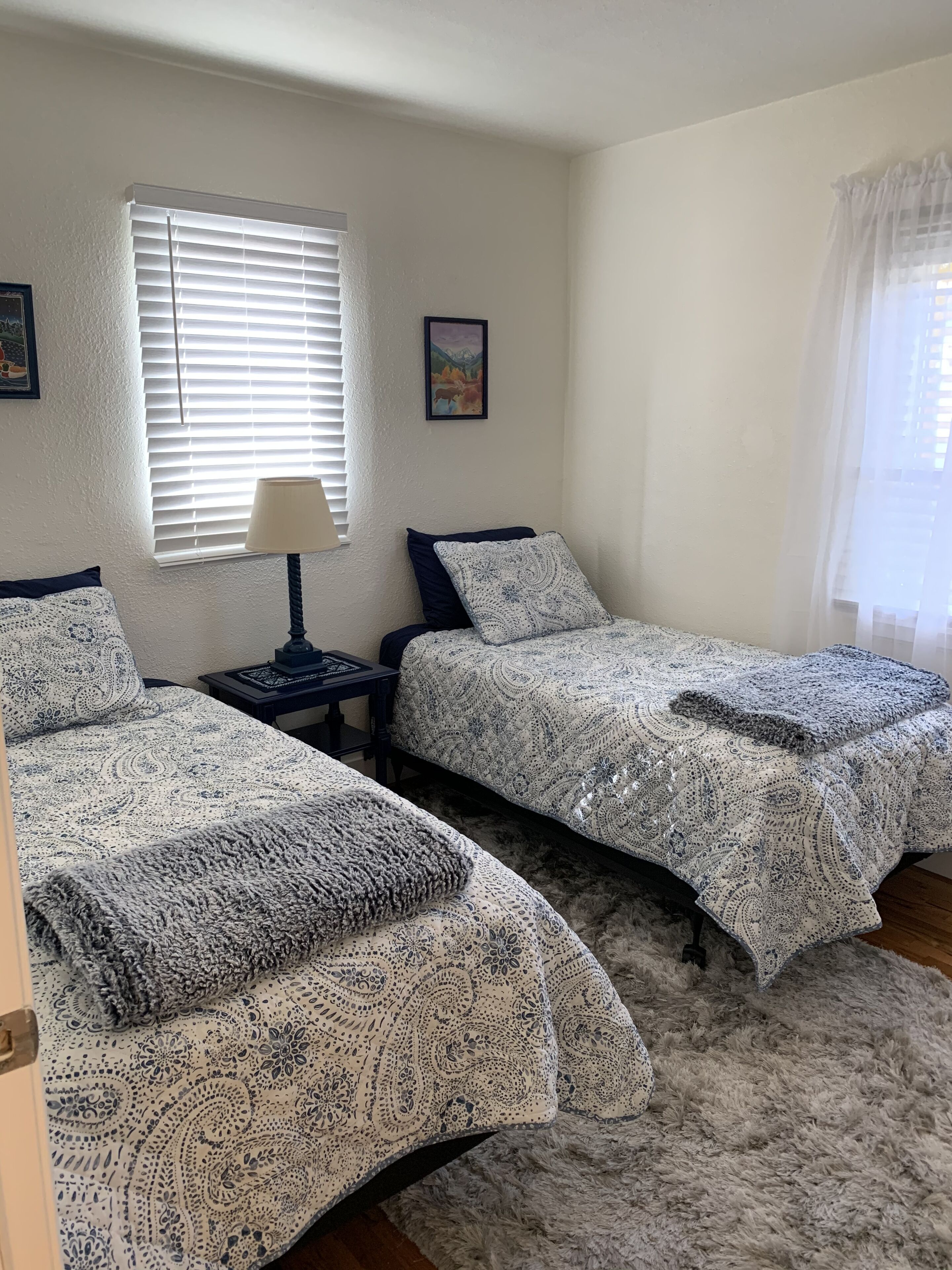 2 bedrooms, iron/ironing board, free WiFi, bed sheets