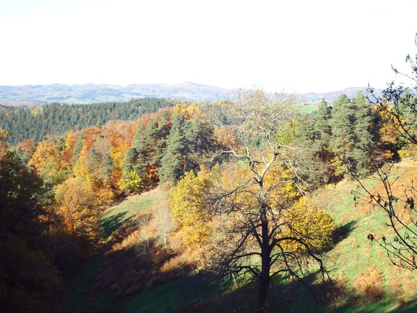 Hiking - Camping des Prairies d' Auvergne (Sauxillanges)