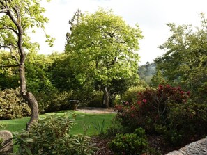 Un rigoglioso giardino con diverse piante e arbusti, un prato curato e un vialetto in pietra.