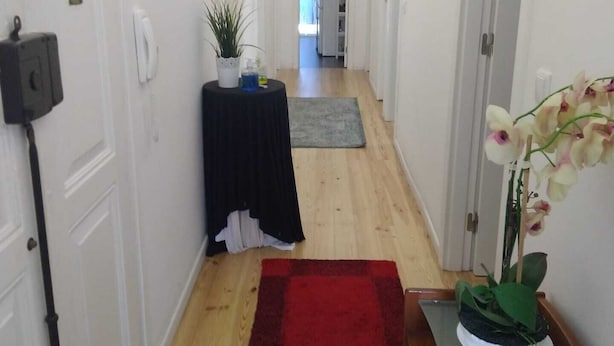 A narrow hallway with white walls, wooden flooring, and a red rug. There is a small table with a plant and a white phone on the left, and a potted orchid on the right. - D&N Hospedagem - Hostel (Lisbon)