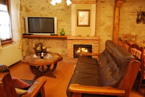 TV, fireplace, video games, DVD player