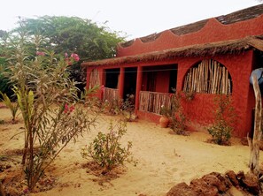 Property grounds - Djandji B (Nguekhokhe)