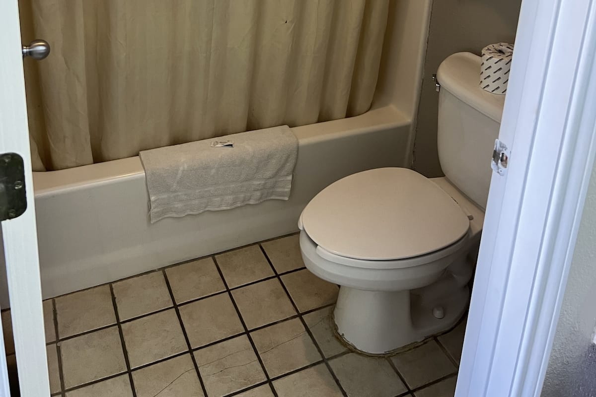 Un bagno con vasca, WC e tenda da doccia.