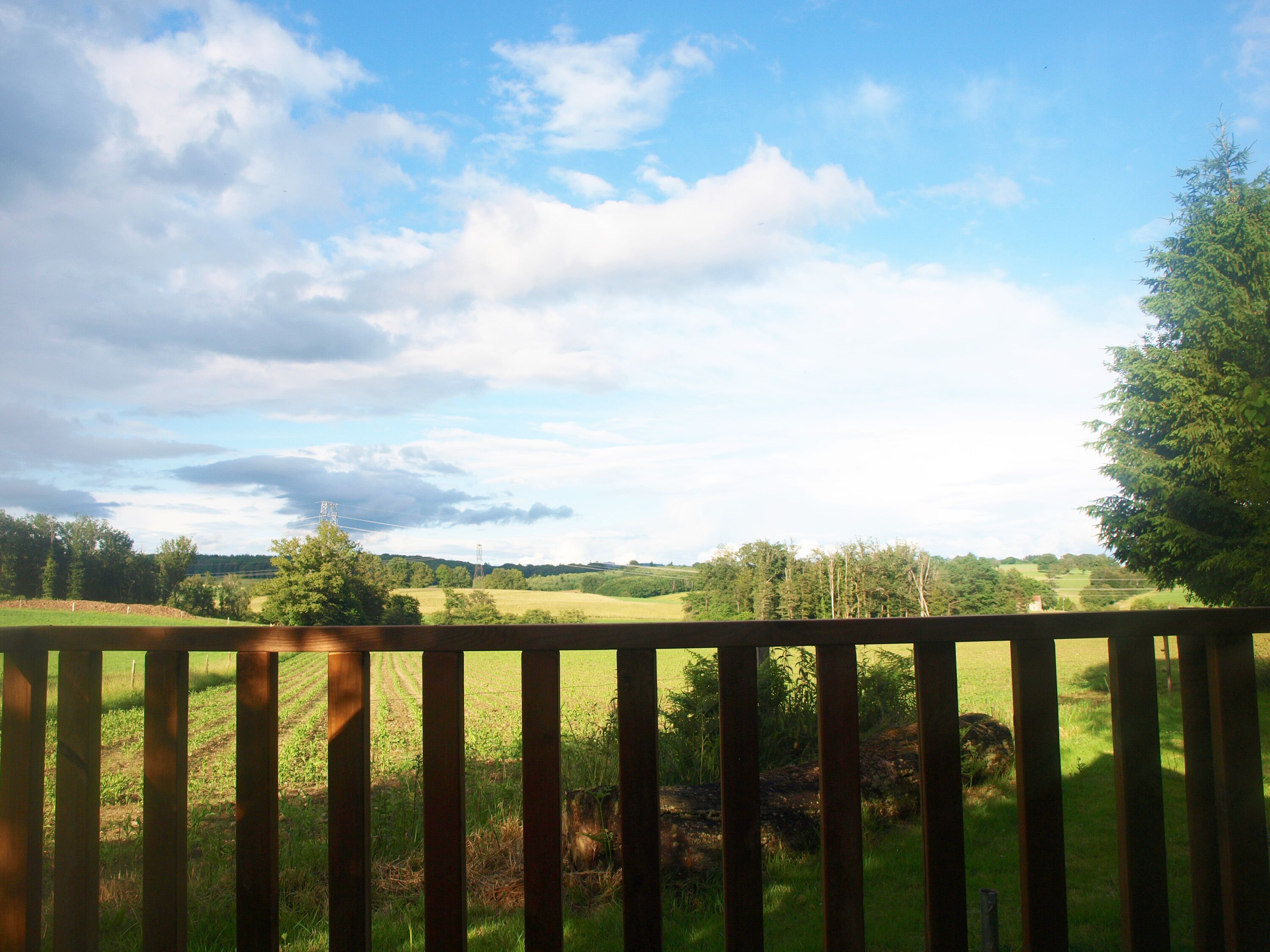 A view from a wooden deck overlooking a grassy field with trees and a power line tower in the distance.