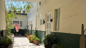 Un pasillo estrecho con plantas en macetas a lo largo de las paredes, piso de baldosas y un edificio de fachada verde y blanca.