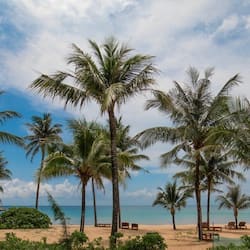 Plage privée, sable blanc, navette gratuite vers la plage