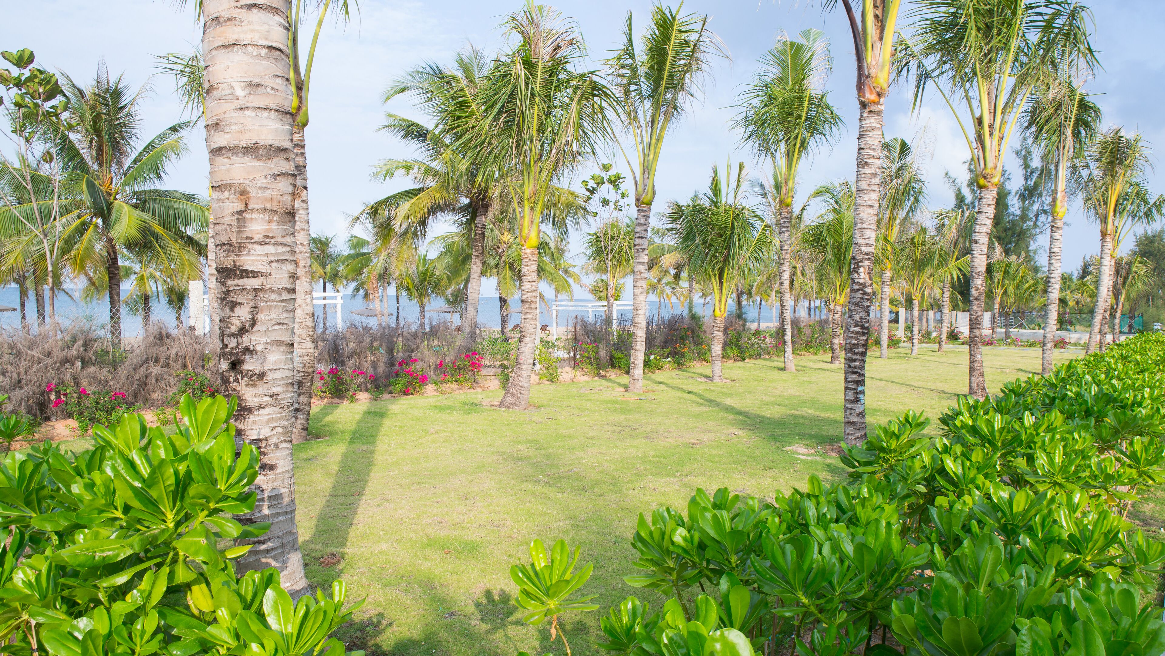 A tropical garden with palm trees, a grassy lawn, and a view of the sea.