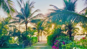 A pathway leading through a tropical garden with palm trees and flowering plants. - Sonaga Beach Resort & Villas Phu Quoc (Phu Quoc)
