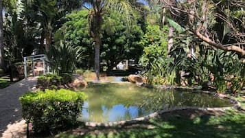 Parco della struttura