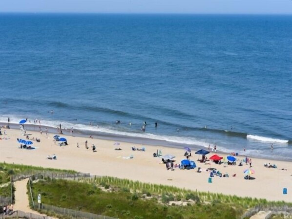 Relax on the sandy shore with unobstructed ocean views and comfortable sun loungers.