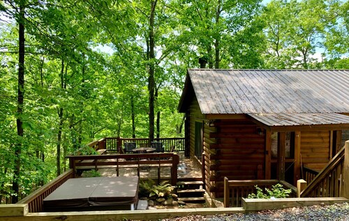 Cozy Mountain Cabin in Aska Wilderness with Saltwater Hot Tub in Blue Ridge, GA