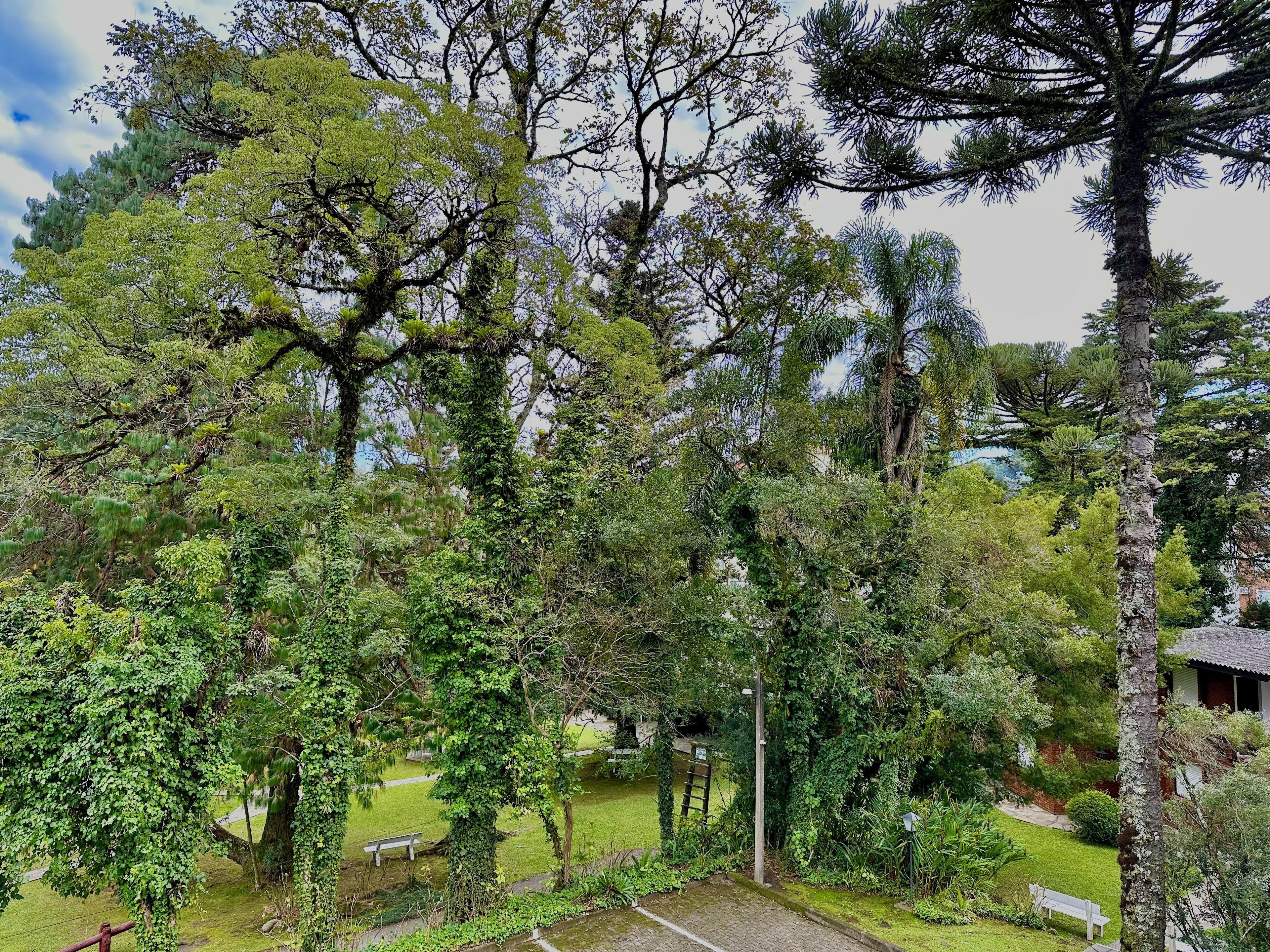 family suite | terrace/patio