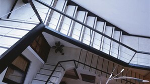 Ein mehrgeschossiges Interieur mit Treppe, Pflanze und Wandleuchte.