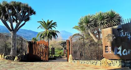 Walnut House, between vineyards and chestnut trees