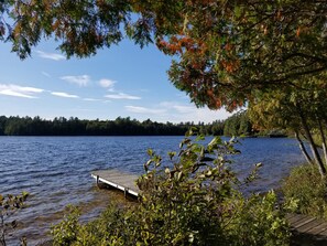Guests can enjoy serene lakeside views from the dock surrounded by lush greenery and dense forest.