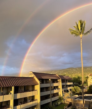 Ein mehrstöckiges Gebäude mit Balkonen, einer Palme und einem doppelten Regenbogen am Himmel.