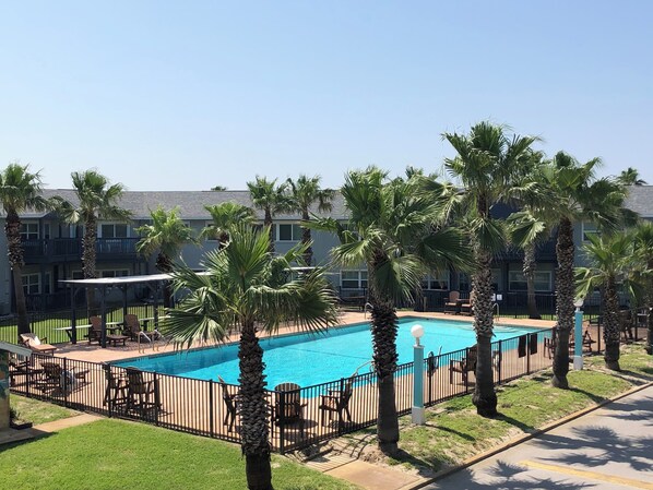 A swimming pool surrounded by palm trees and outdoor seating, with a building in the background.