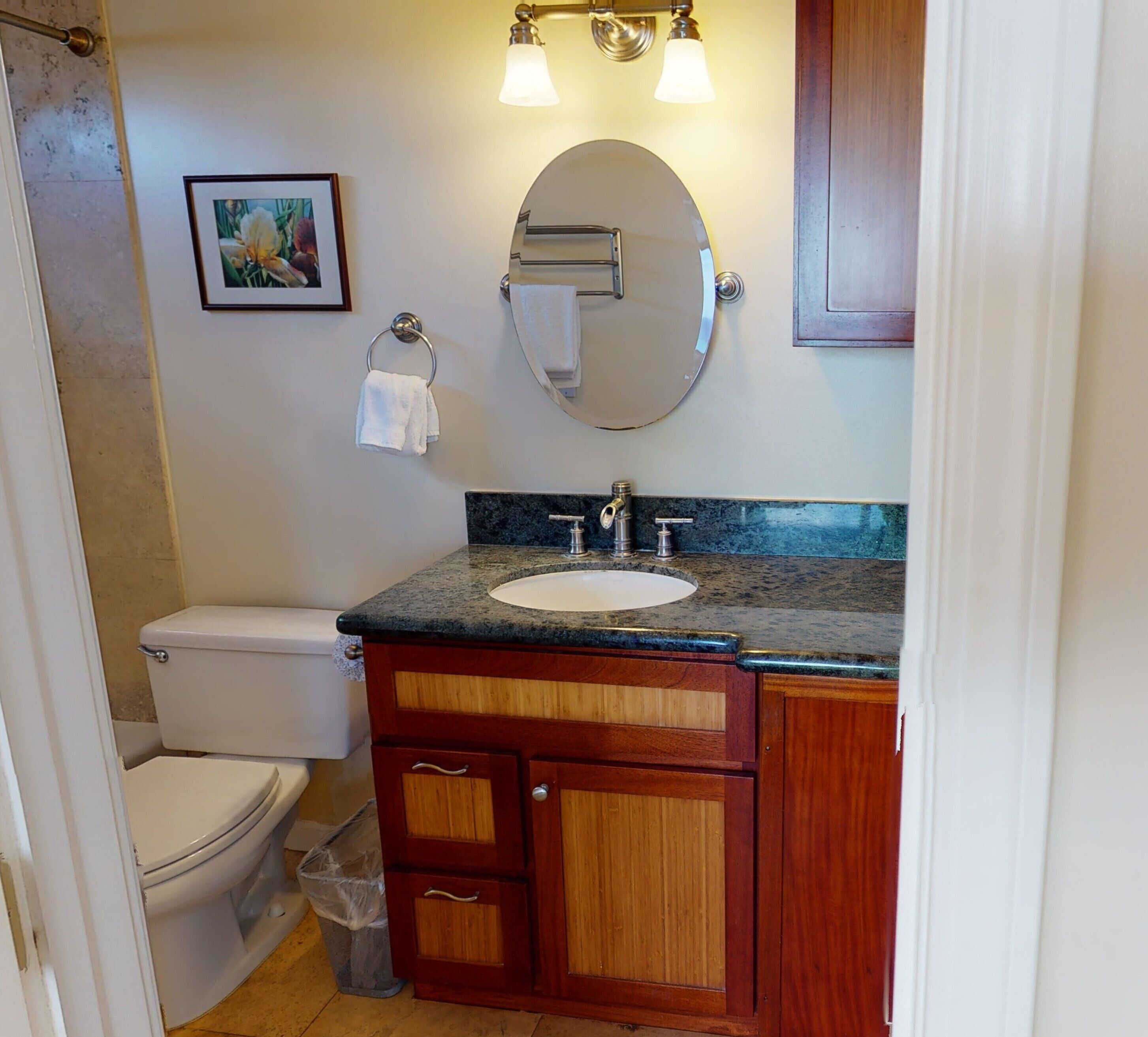 Combined shower/tub, hair dryer, towels