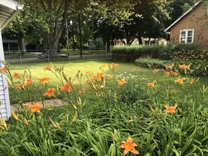 Parco della struttura