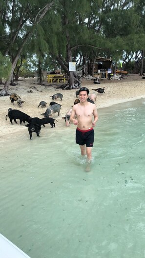 Camastros y toallas de playa 