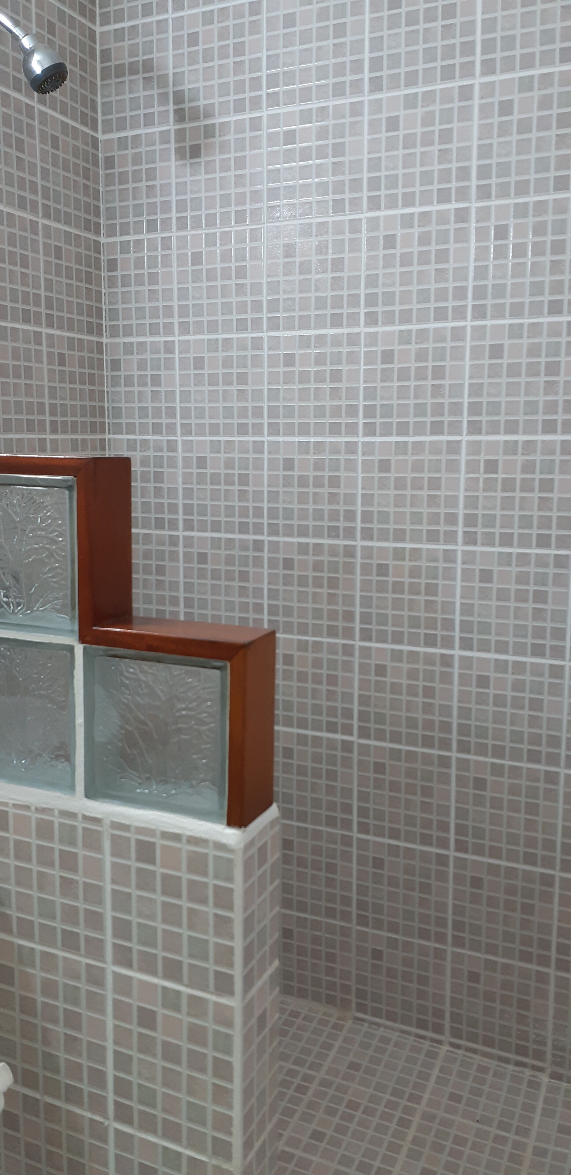 Standard Studio, 1 Queen Bed | Bathroom shower