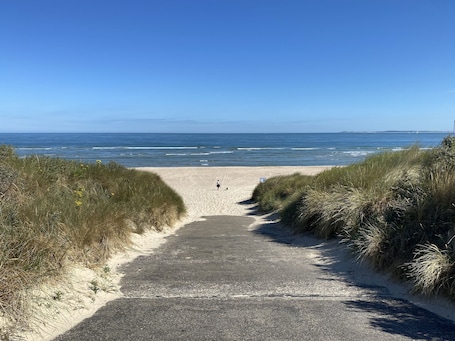 A paved pathway leading to a beach with sand dunes on either side.