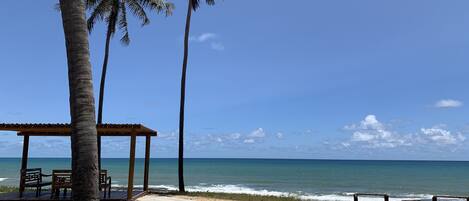 Playa