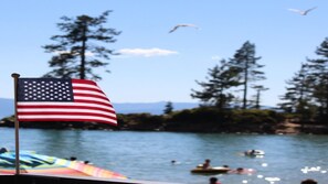 Unclassified image, 5 of 6, button