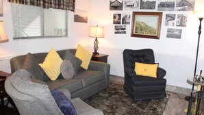 Una sala de estar con un sofá gris, un sillón negro y una alfombra estampada.