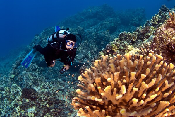 Explore vibrant coral reefs and marine life while scuba diving in crystal-clear tropical waters, perfect for underwater photography and ocean enthusiasts