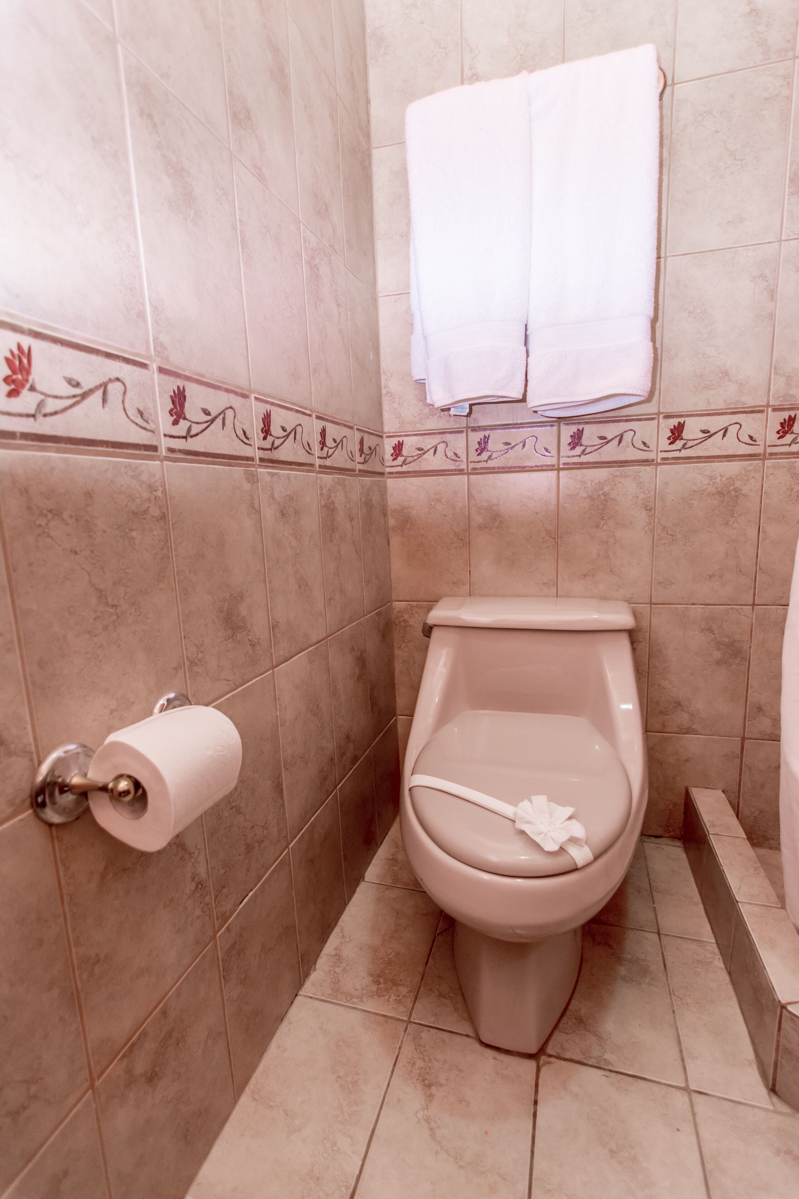 A bathroom with a toilet, a roll of toilet paper, and a towel hanging on the wall.