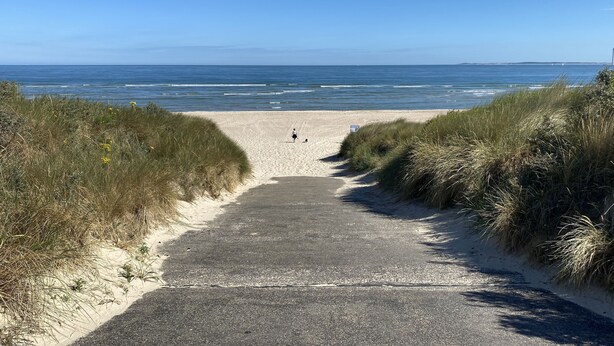 A paved pathway leading to a beach with sand dunes on either side.