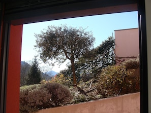 A view through a window with a tree, shrubs, and a mountain in the background. - Mini apartment with terrace (without kitchen!) (Dino-Lugano)