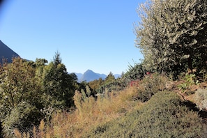 A natural landscape with dense vegetation and mountains in the background. - Mini apartment with terrace (without kitchen!) (Dino-Lugano)