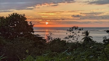 Playa en los alrededores, camastros y toallas de playa