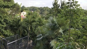 Un jardin luxuriant, avec une grande variété d’arbres et de plantes, un escalier en métal et un bâtiment en arrière-plan.