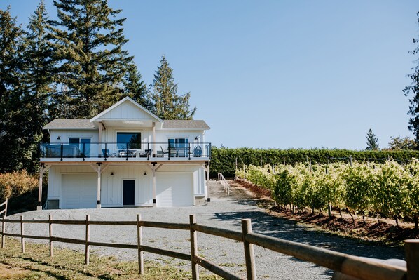 A two-story building with a balcony, surrounded by a vineyard.