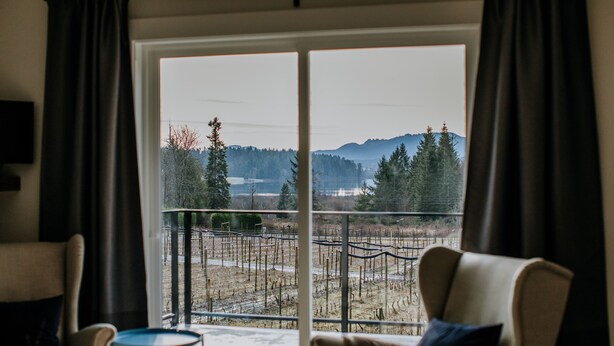 Une pièce dotée d’une grande porte-fenêtre coulissante donnant sur un balcon avec vue sur un vignoble et des montagnes.