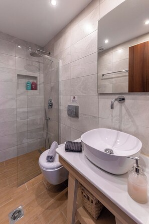 Ensemble douche/baignoire, sèche-cheveux, serviettes fournies