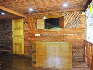 32 吋平面電視連衛星電視頻道、電視