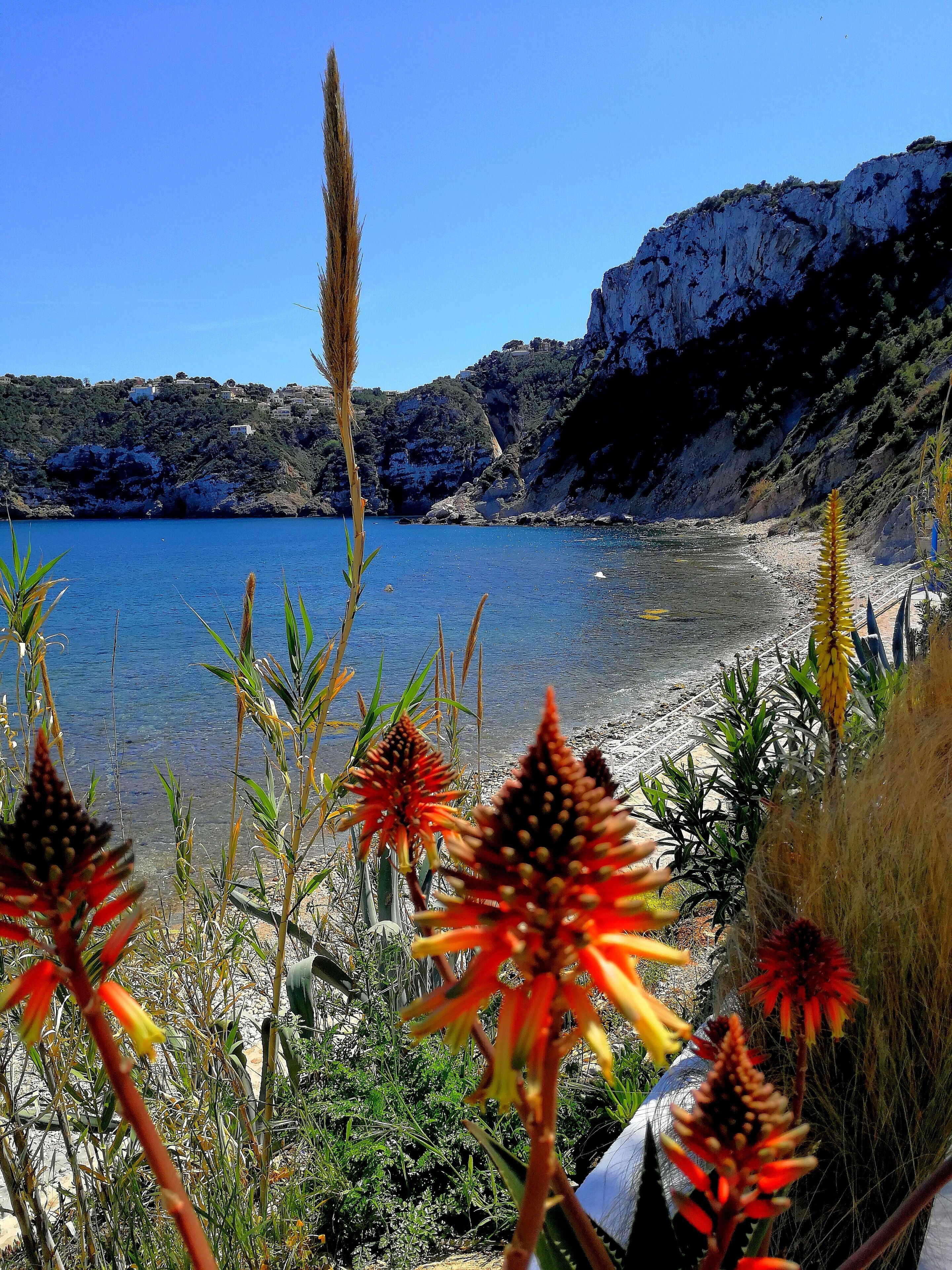 Sulla spiaggia, teli da spiaggia