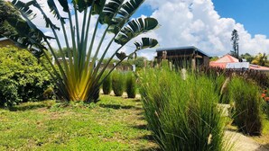 A garden with large banana plants, a pathway, and a building with a red roof. - --- AIGUE-MARINE --- (Sainte-Anne)