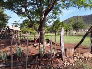Property grounds - Quiet and peaceful cabin style farmhouse in Mascota, "Silencio y tranquilidad" (Mascota)