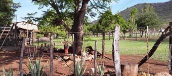 Quiet and peaceful cabin style farmhouse in Mascota, "Silencio y tranquilidad"